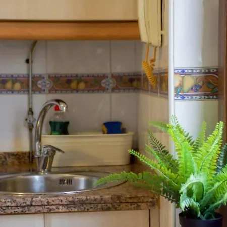 Conide El Mirador Oviede