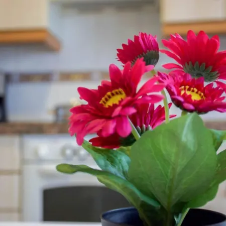 Appartement Conide El Mirador