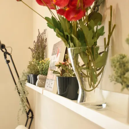 公寓 Coniderentals El Mirador *