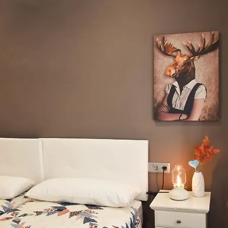 Coniderentals El Mirador